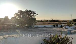 Venta Terreno Comporta