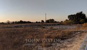 Venta Terreno Comporta