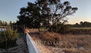 Venta Terreno Comporta