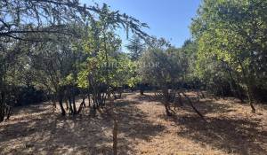 Venta Terreno construible Cabrières-d'Avignon