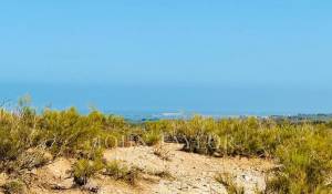 Venta Terreno construible Essaouira