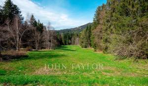 Venta Terreno construible Les Paccots