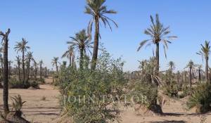 Venta Terreno construible Marrakech