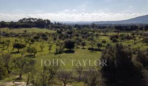 Venta Terreno construible Moscari