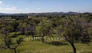 Venta Terreno construible Moscari