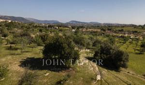 Venta Terreno construible Moscari