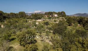 Venta Terreno construible Moscari