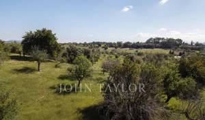 Venta Terreno construible Moscari