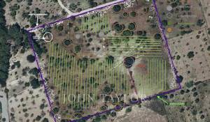 Venta Terreno construible Moscari