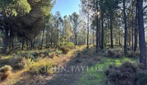 Venta Terreno Grândola e Santa Margarida da Serra