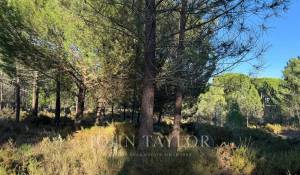 Venta Terreno Grândola e Santa Margarida da Serra