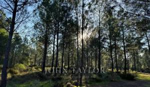 Venta Terreno Grândola e Santa Margarida da Serra