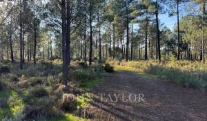 Venta Terreno Grândola e Santa Margarida da Serra