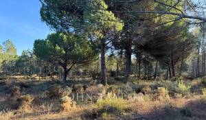 Venta Terreno Grândola e Santa Margarida da Serra