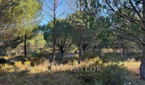 Venta Terreno Grândola e Santa Margarida da Serra