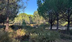 Venta Terreno Grândola e Santa Margarida da Serra