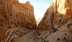 Venta Terreno Grândola e Santa Margarida da Serra