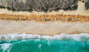 Venta Terreno Grândola e Santa Margarida da Serra