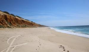 Venta Terreno Grândola e Santa Margarida da Serra