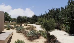 Venta Terreno Grândola e Santa Margarida da Serra