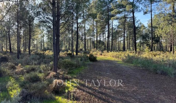 Venta Terreno Grândola e Santa Margarida da Serra