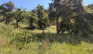 Venta Terreno Grimaud
