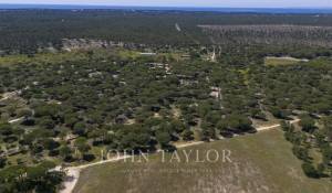 Venta Terreno Melides