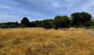 Venta Terreno Melides