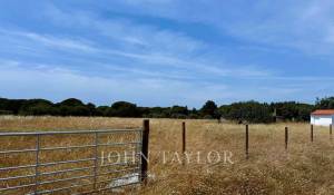 Venta Terreno Melides