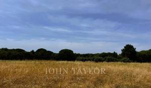 Venta Terreno Melides