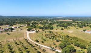 Venta Terreno Melides