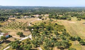 Venta Terreno Melides