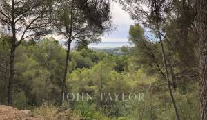 Venta Terreno Palma de Mallorca