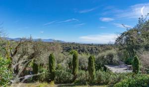 Venta Terreno Roquefort-les-Pins