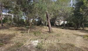 Venta Terreno Santa Ponsa
