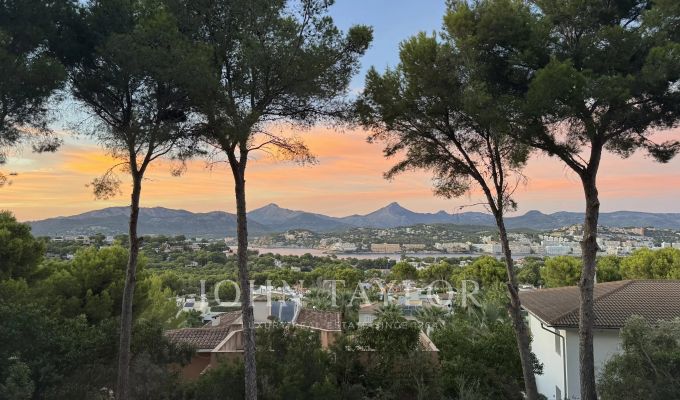 Venta Terreno Santa Ponsa