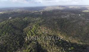 Venta Terreno São Francisco da Serra