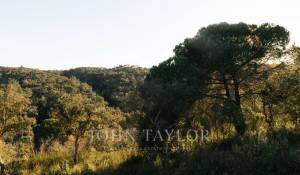 Venta Terreno São Francisco da Serra