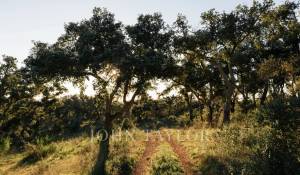 Venta Terreno São Francisco da Serra