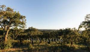 Venta Terreno São Francisco da Serra