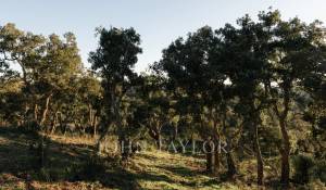 Venta Terreno São Francisco da Serra