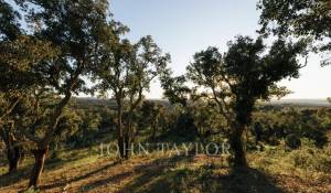 Venta Terreno São Francisco da Serra