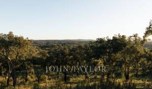 Venta Terreno São Francisco da Serra