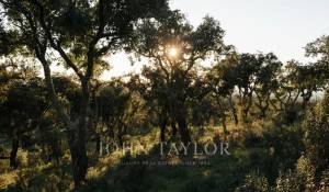 Venta Terreno São Francisco da Serra