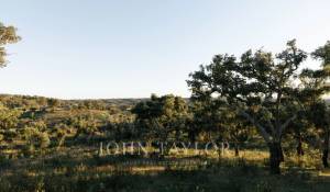 Venta Terreno São Francisco da Serra