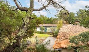 Venta Villa Cap-Ferret