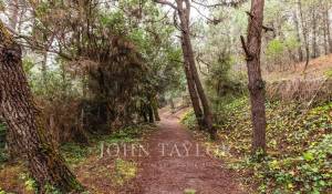 Venta Villa Cap-Ferret