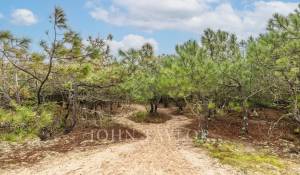 Venta Villa Cap-Ferret