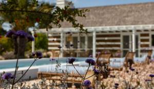 Venta Villa Carvalhal