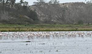 Venta Villa Comporta